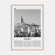 Istanbul Travel B&W No 2 Poster