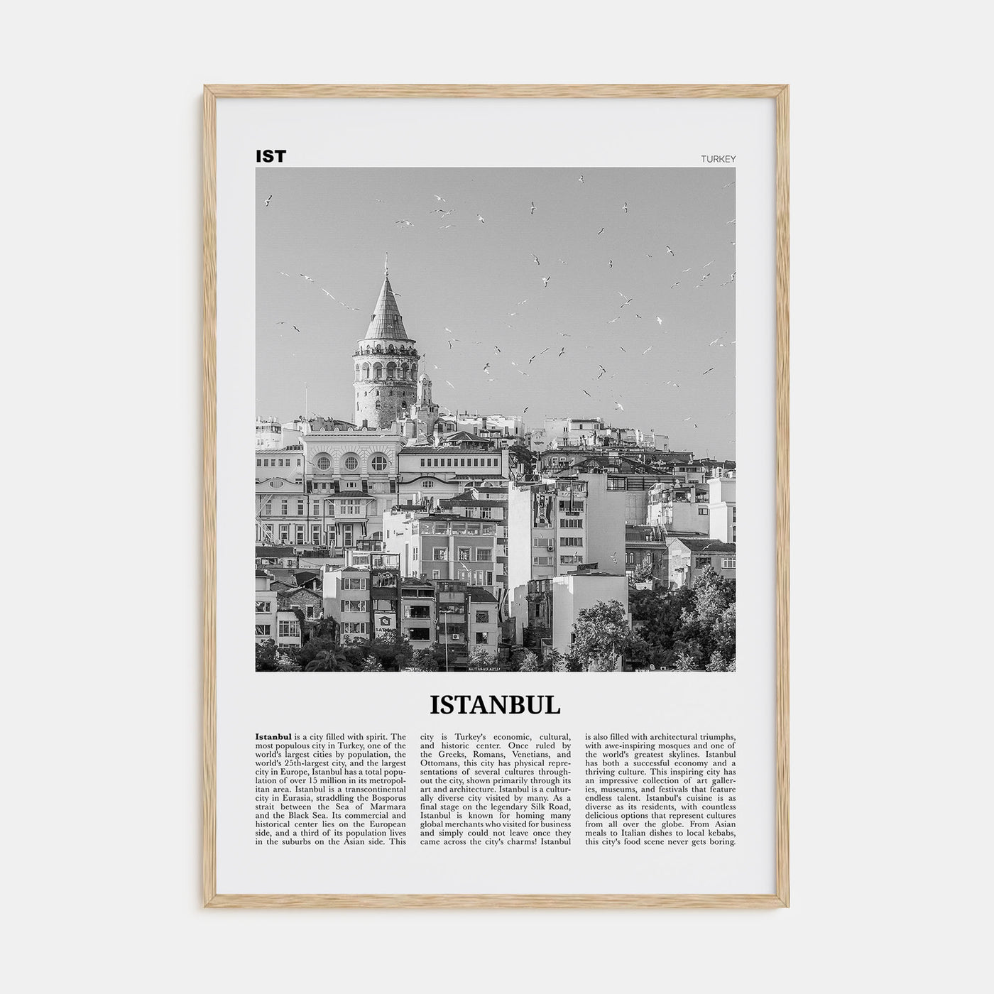 Istanbul Travel B&W No 2 Poster