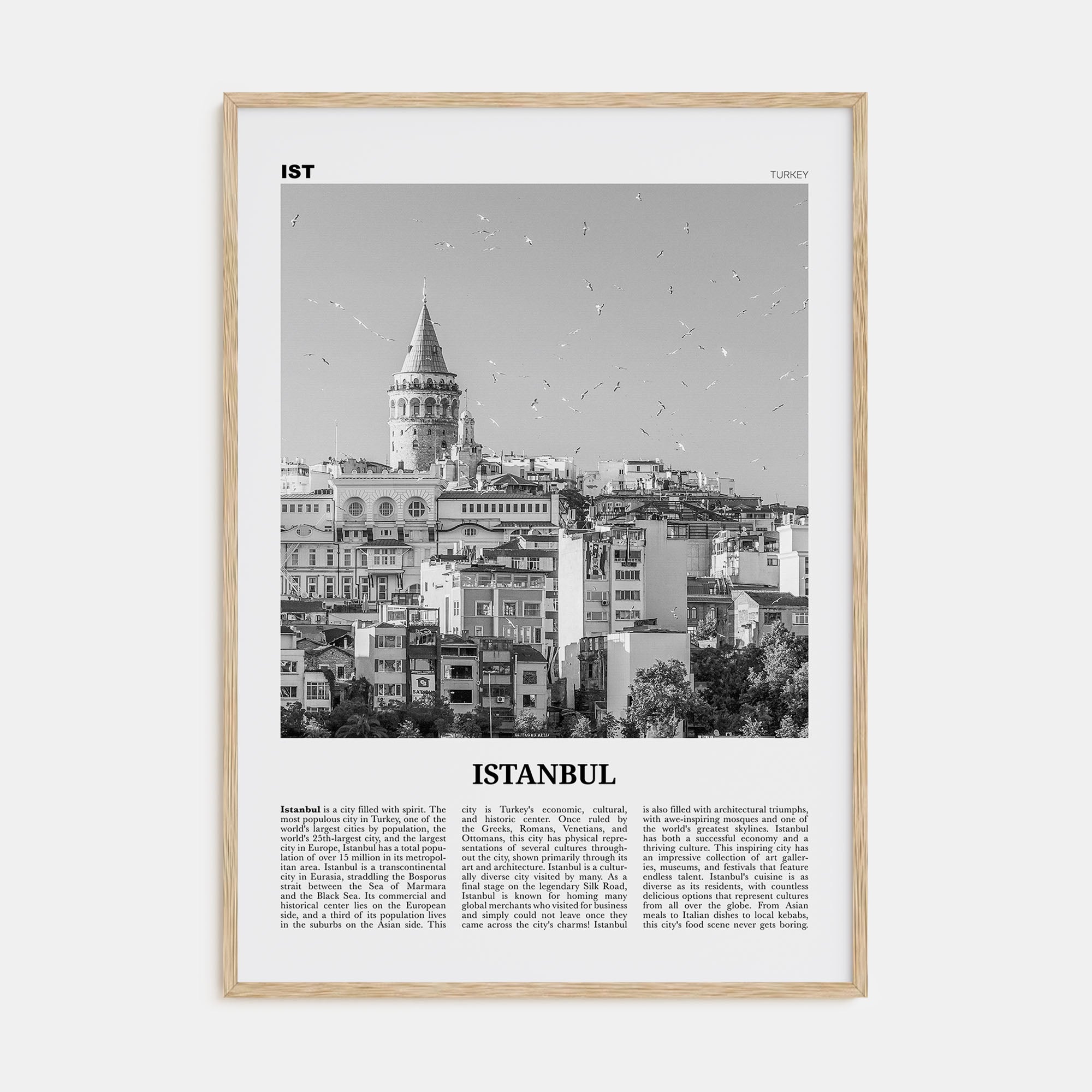 Istanbul Travel B&W No 2 Poster