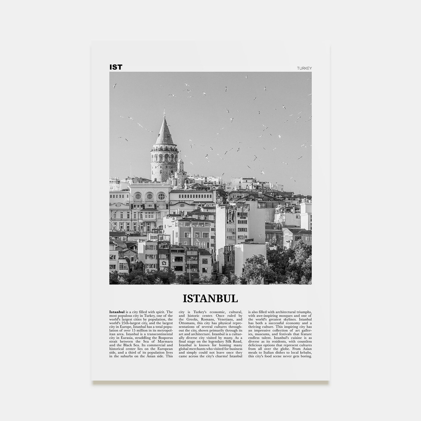 Istanbul Travel B&W No 2 Poster