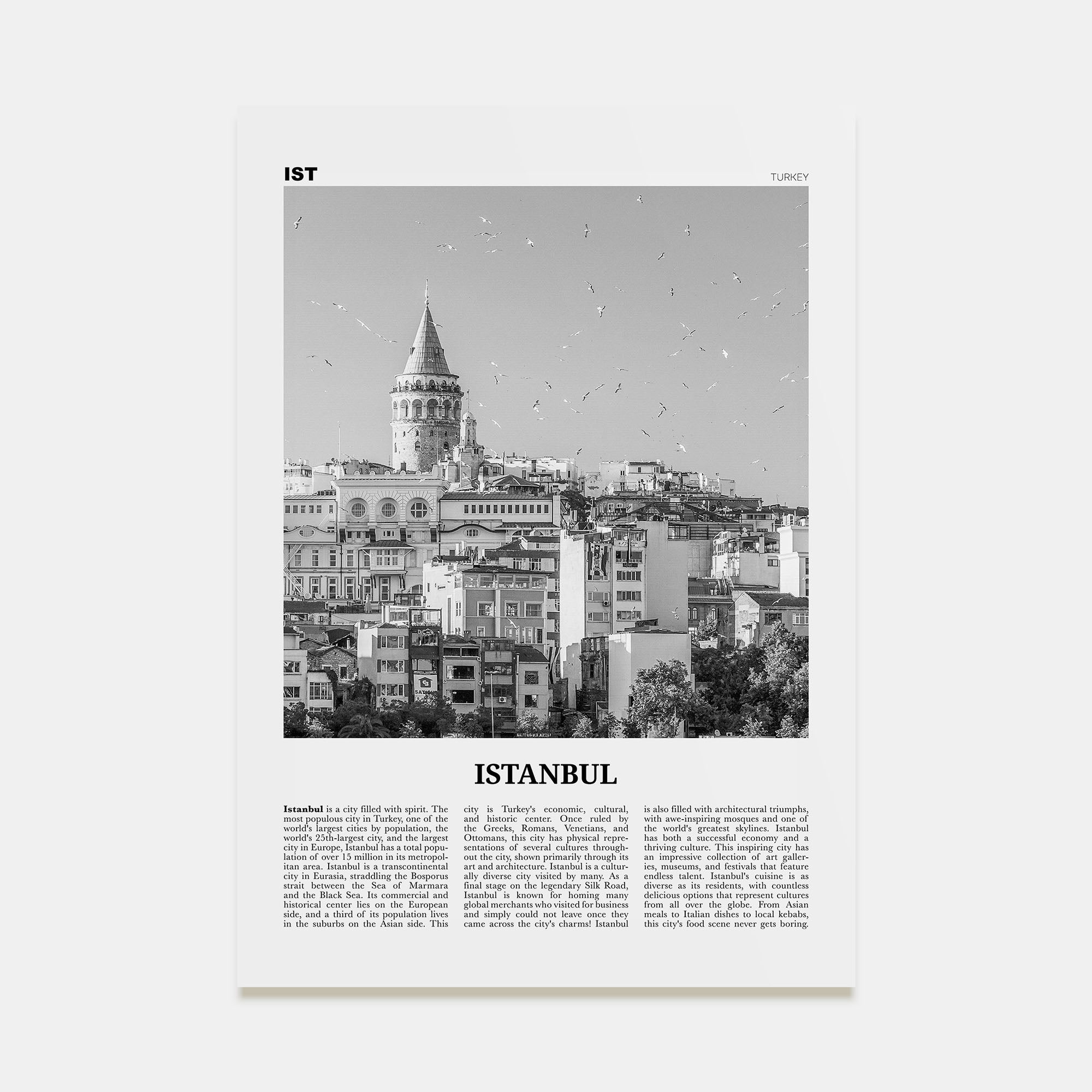 Istanbul Travel B&W No 2 Poster