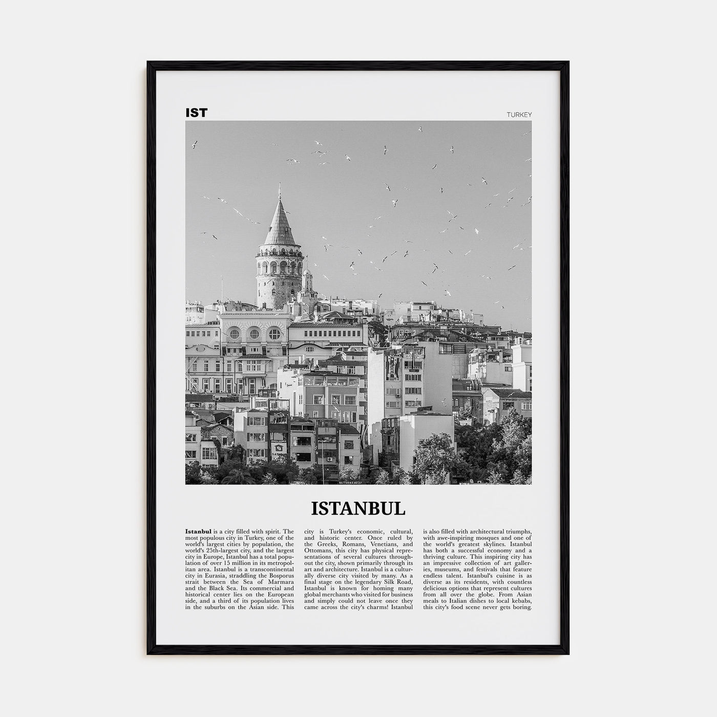 Istanbul Travel B&W No 2 Poster