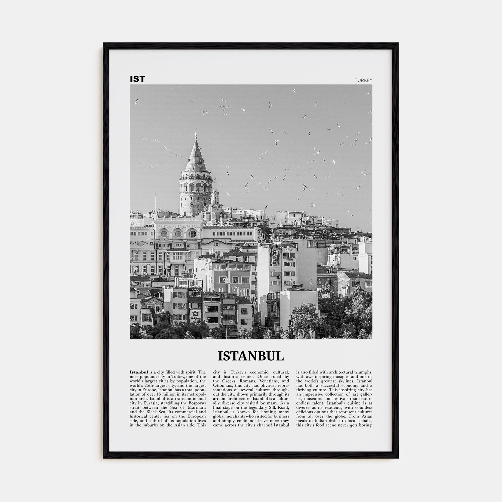 Istanbul Travel B&W No 2 Poster