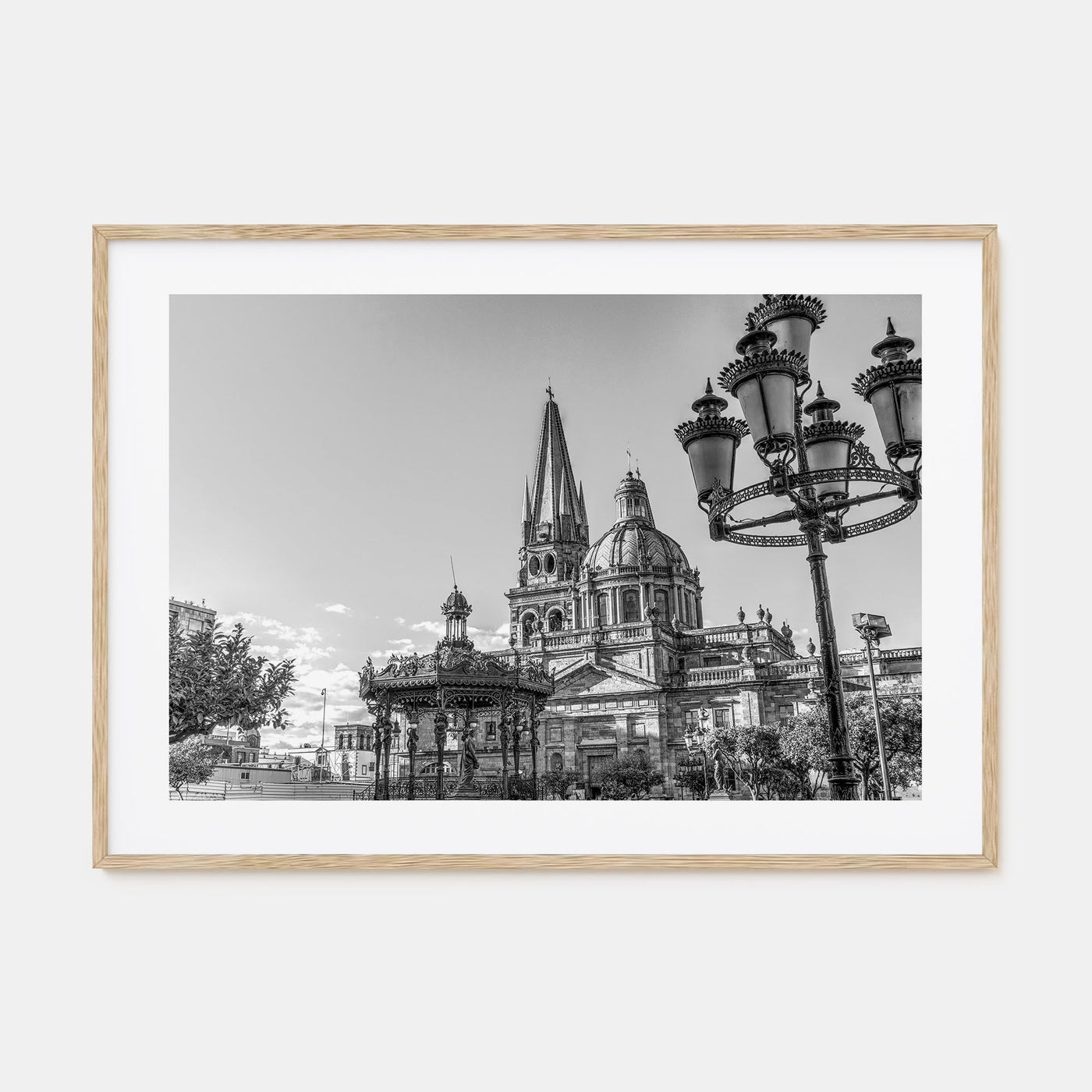 Jalisco Landscape B&W Poster