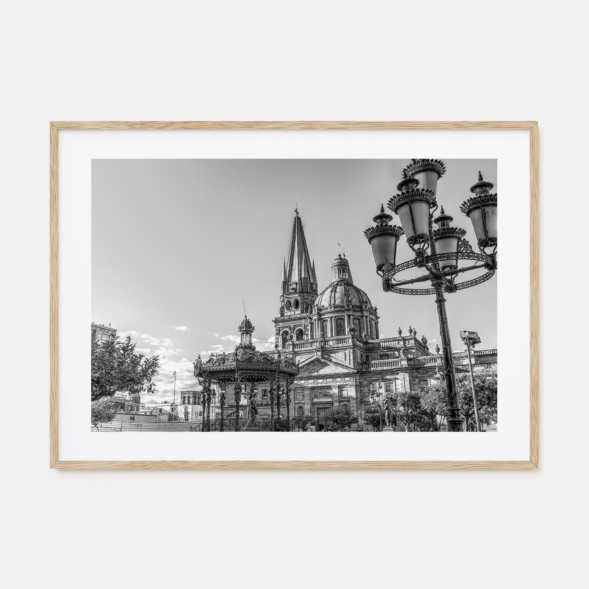 Jalisco Landscape B&W Poster