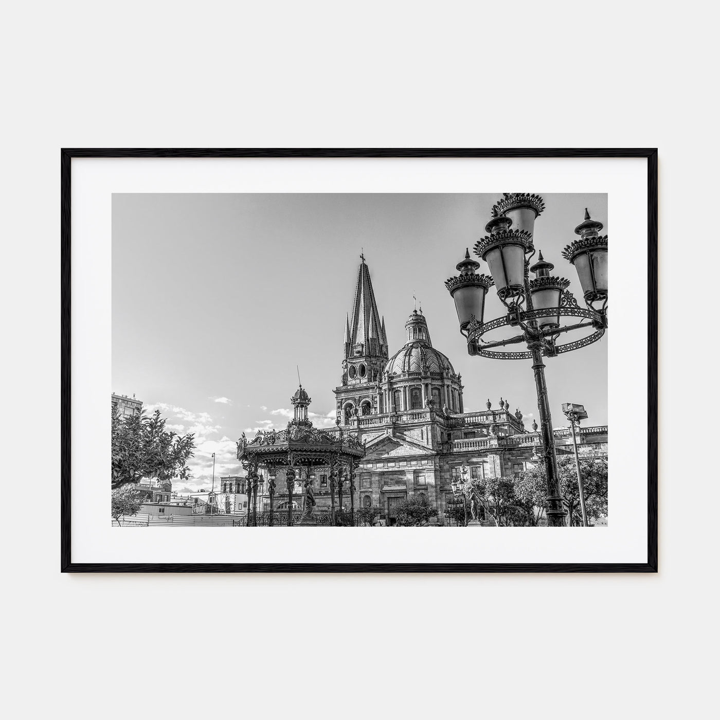 Jalisco Landscape B&W Poster