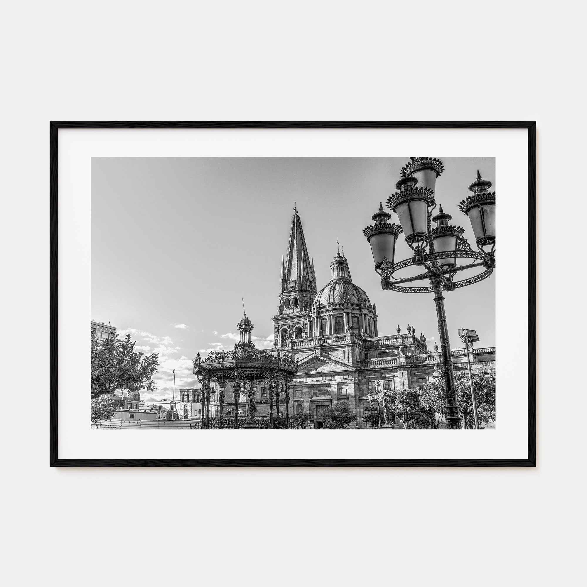 Jalisco Landscape B&W Poster