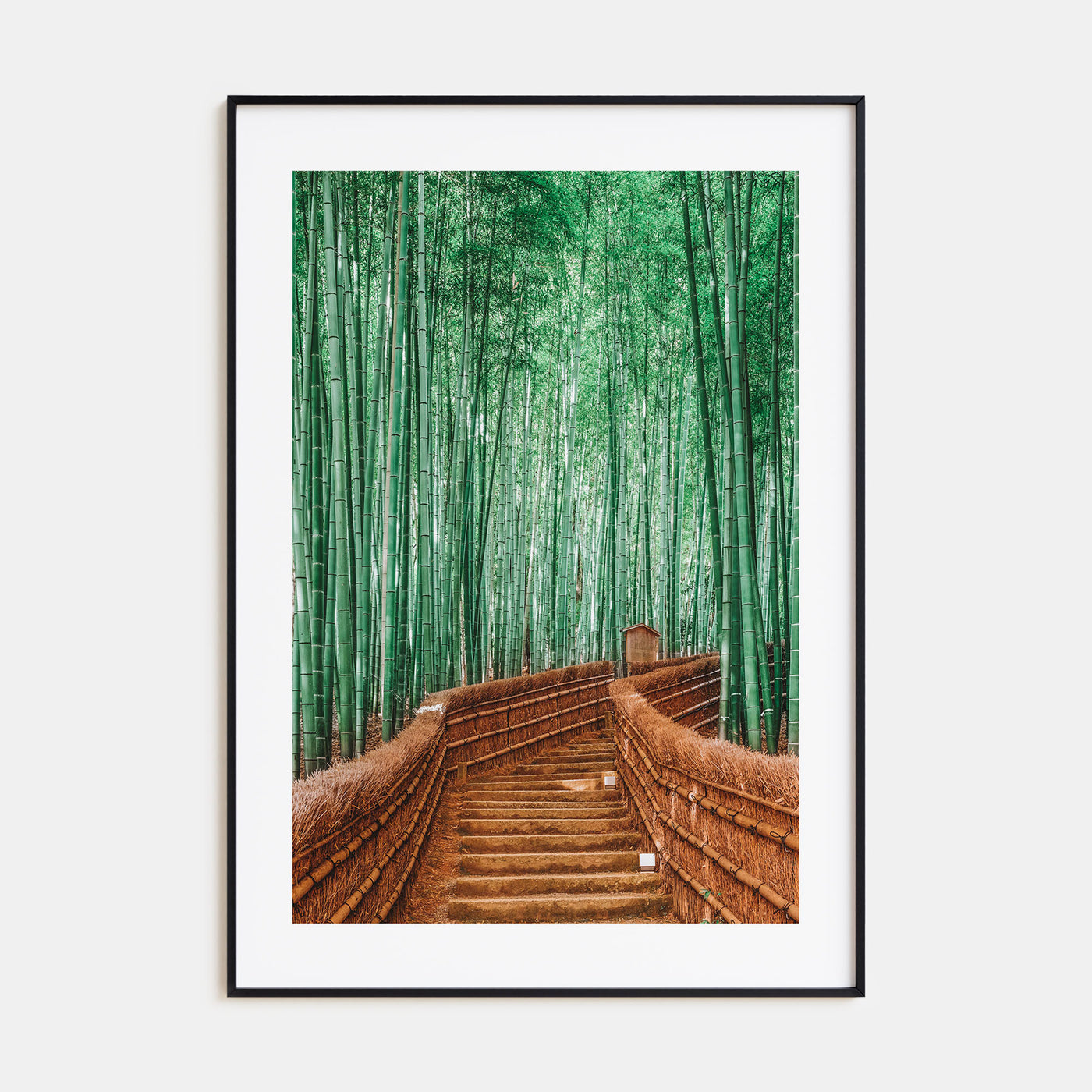 Japan Photo Color No 3 Poster