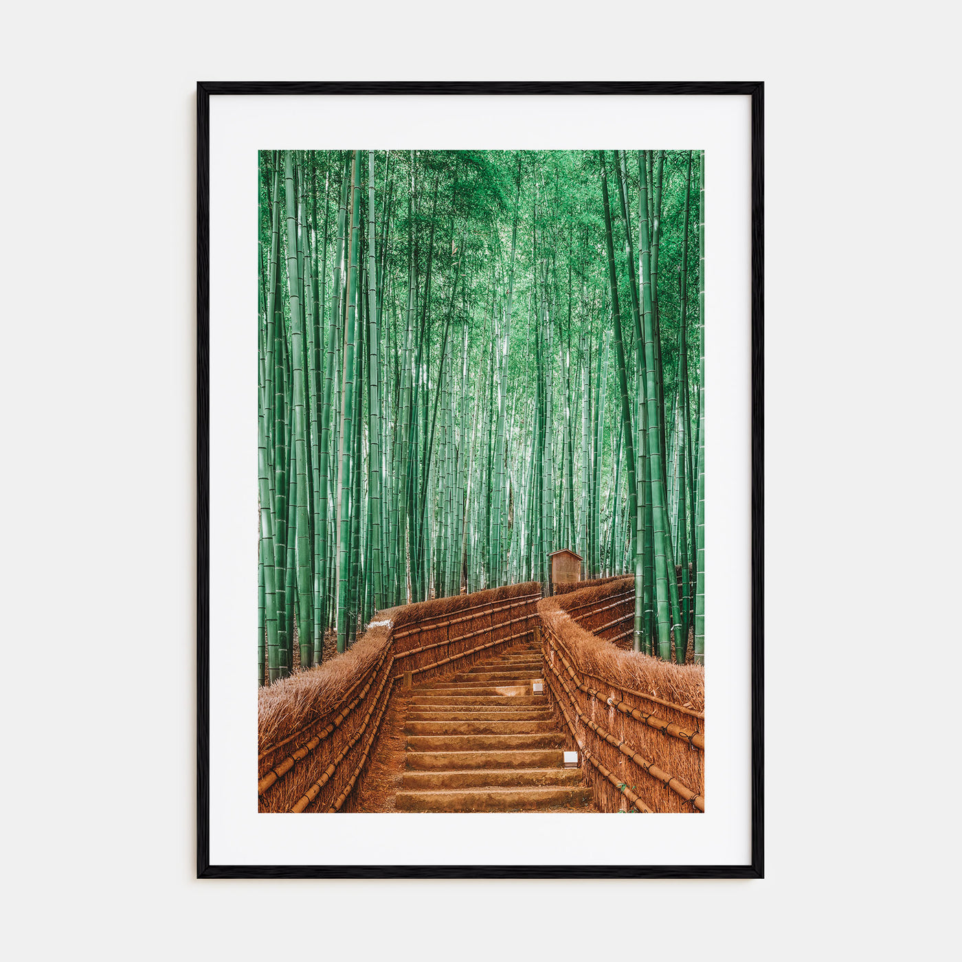 Japan Photo Color No 3 Poster