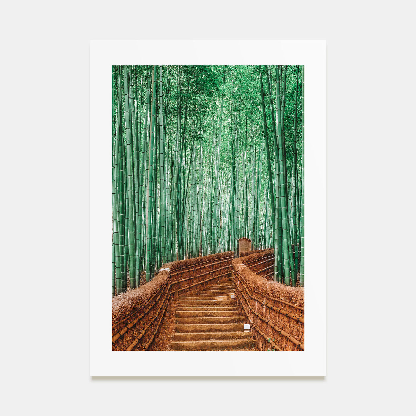 Japan Photo Color No 3 Poster