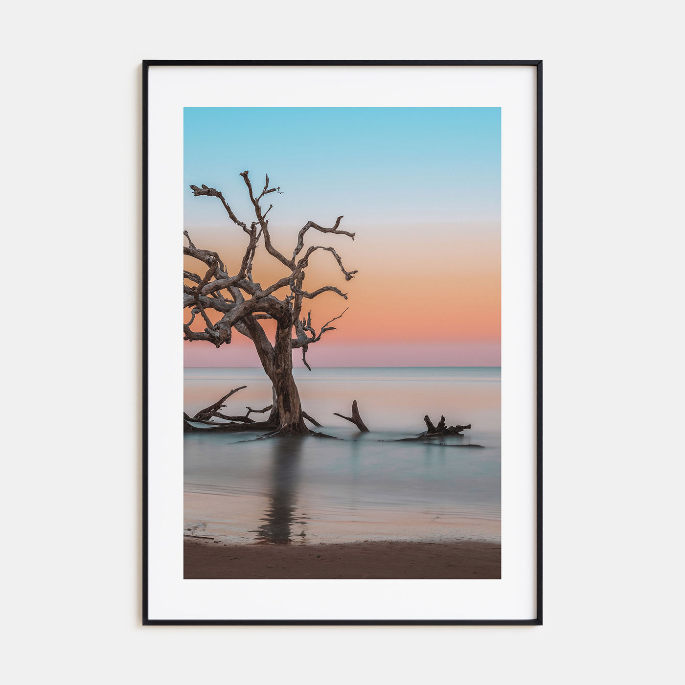 Jekyll Island Photo Color Poster