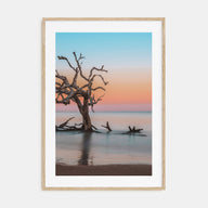 Jekyll Island Photo Color Poster