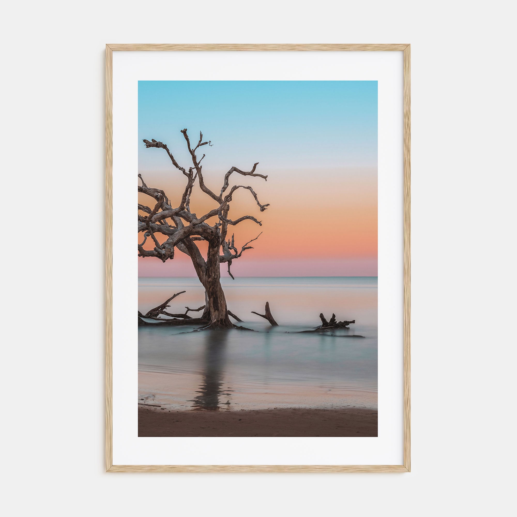 Jekyll Island Photo Color Poster