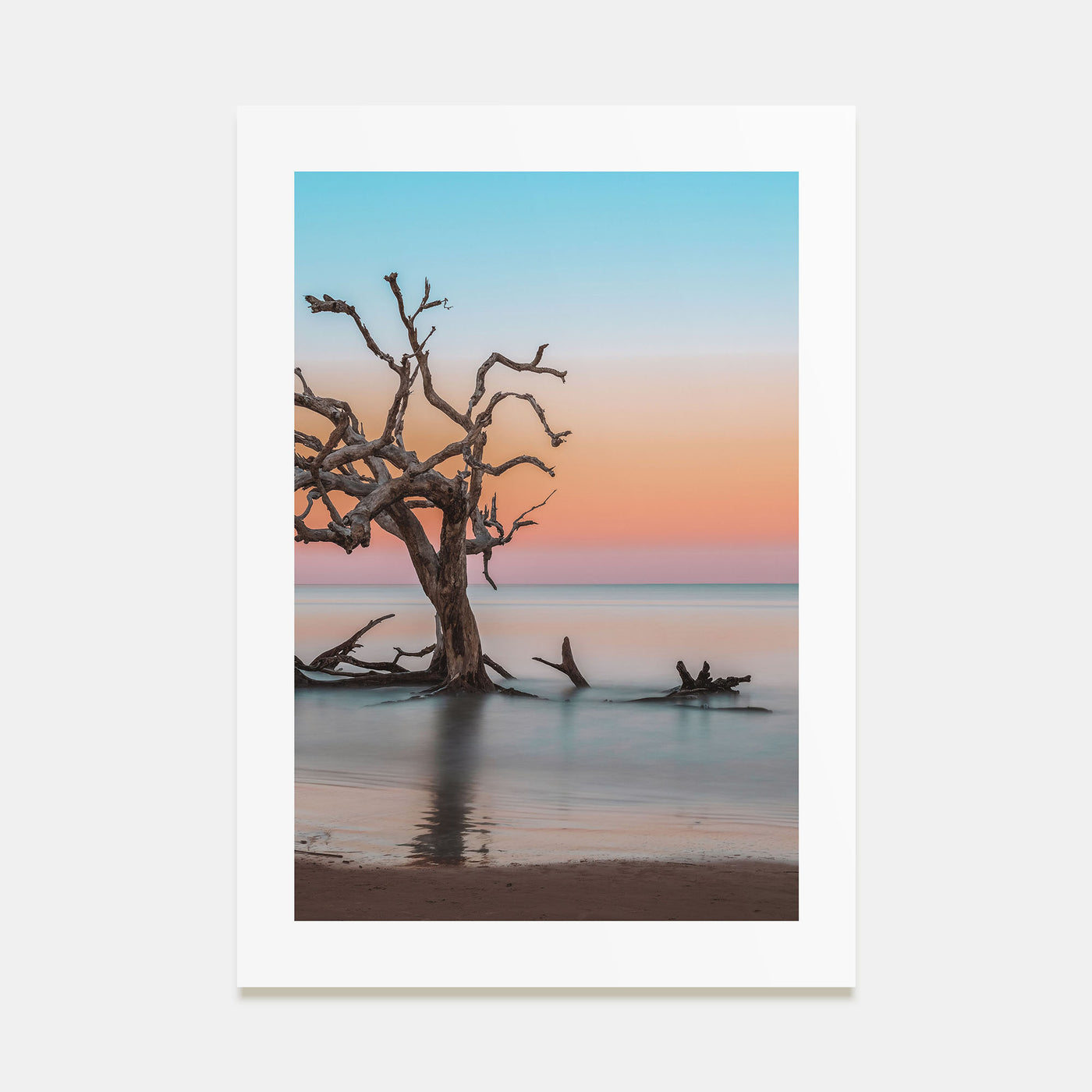 Jekyll Island Photo Color Poster