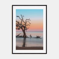 Jekyll Island Photo Color Poster