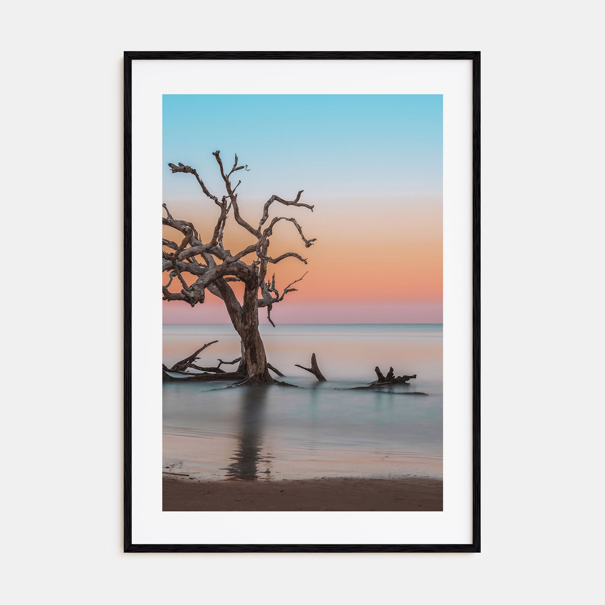 Jekyll Island Photo Color Poster