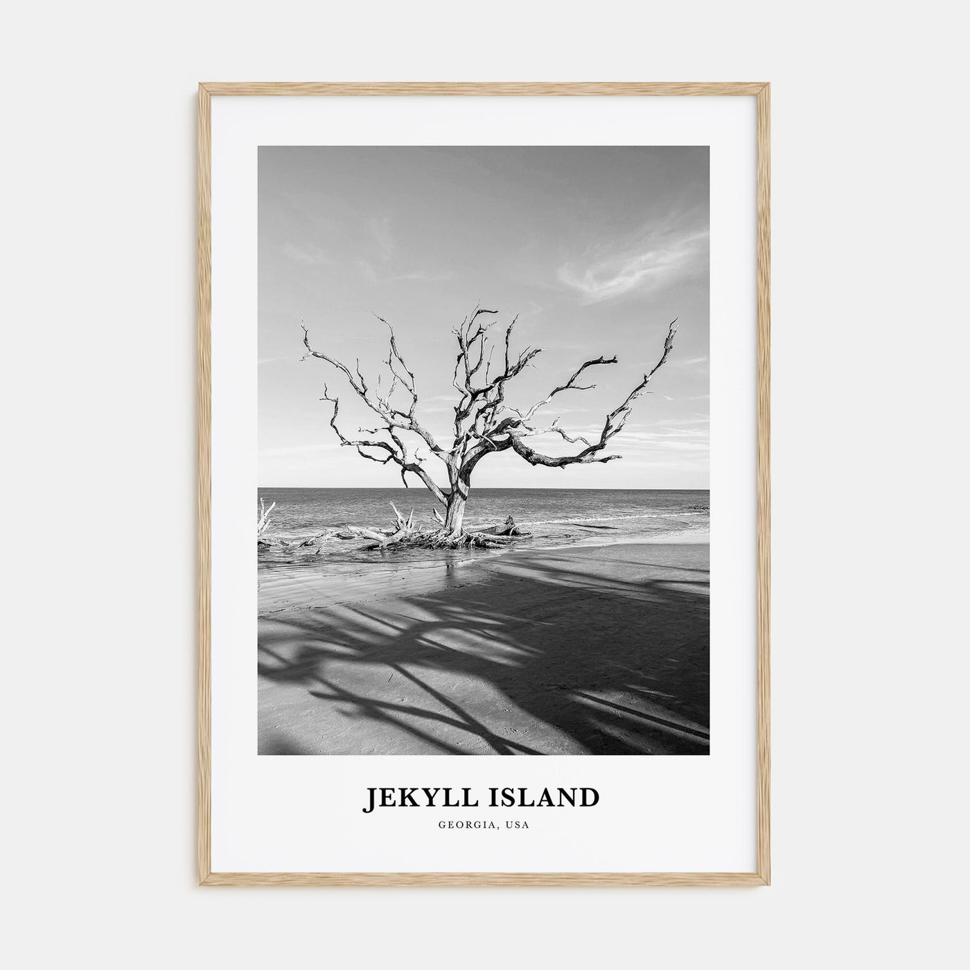 Jekyll Island Portrait B&W Poster