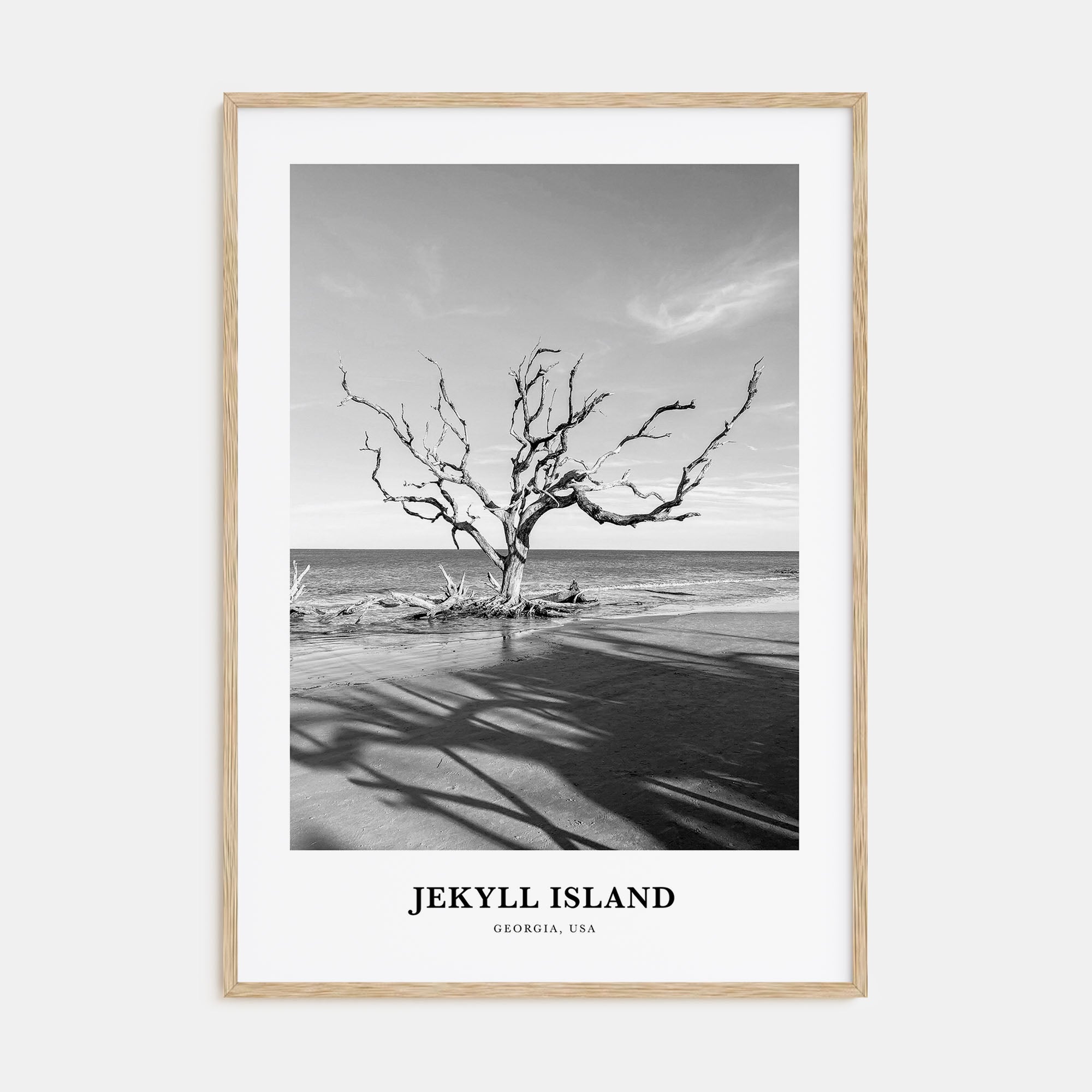 Jekyll Island Portrait B&W Poster