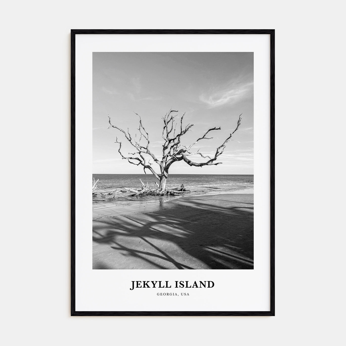 Jekyll Island Portrait B&W Poster