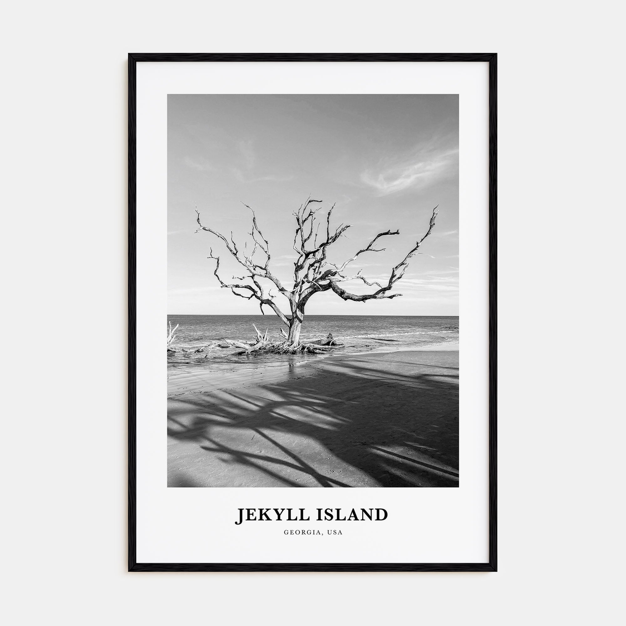 Jekyll Island Portrait B&W Poster