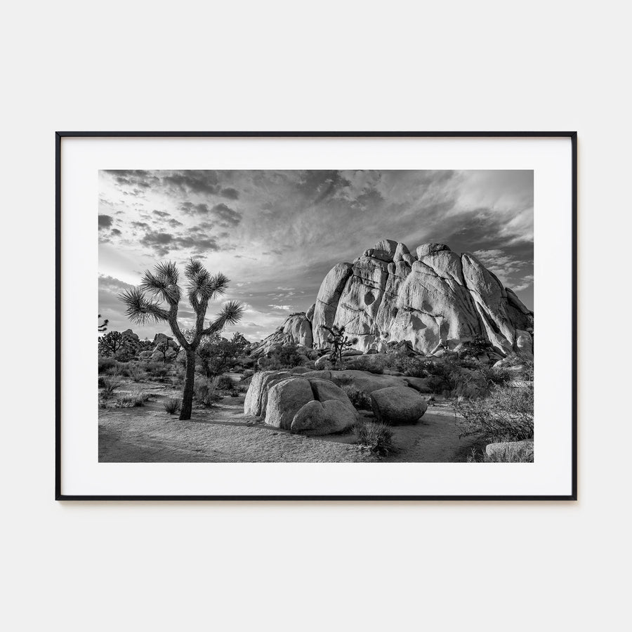 Joshua Tree National Park Landscape B&W No 1 Poster