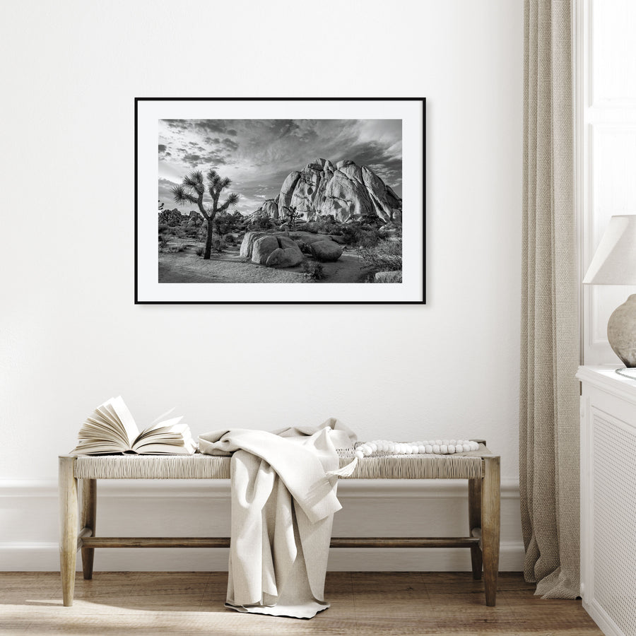 Joshua Tree National Park Landscape B&W No 1 Poster