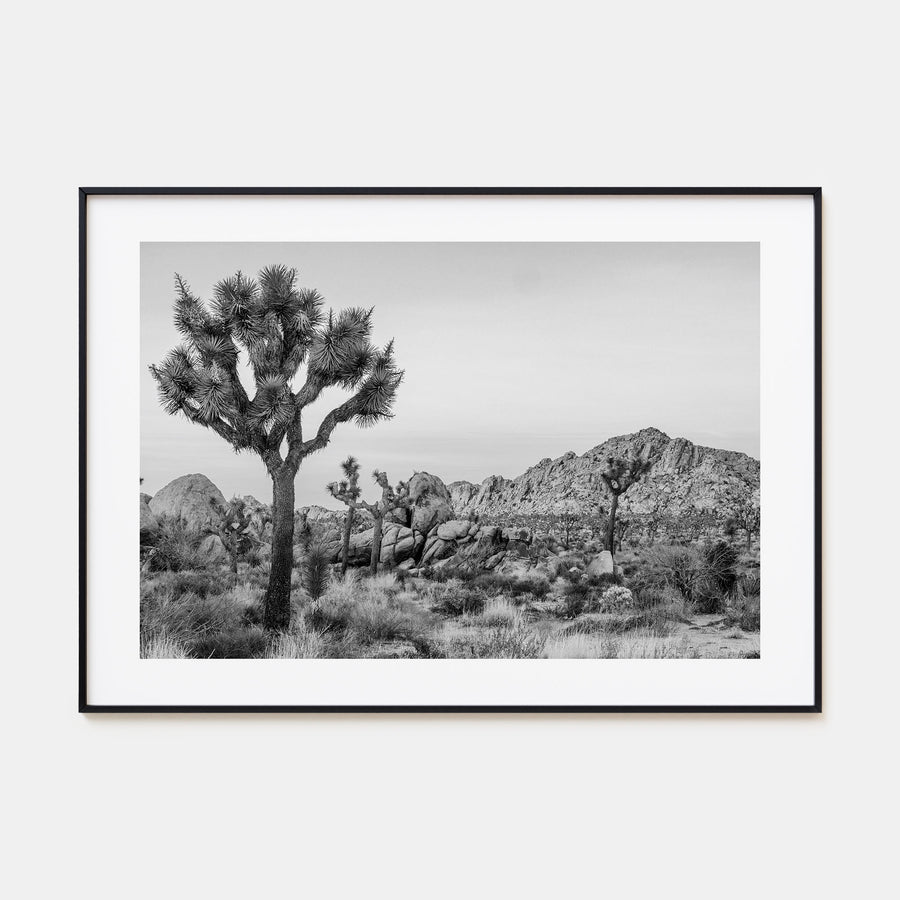 Joshua Tree National Park Landscape B&W No 2 Poster
