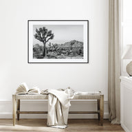 Joshua Tree National Park Landscape B&W No 2 Poster