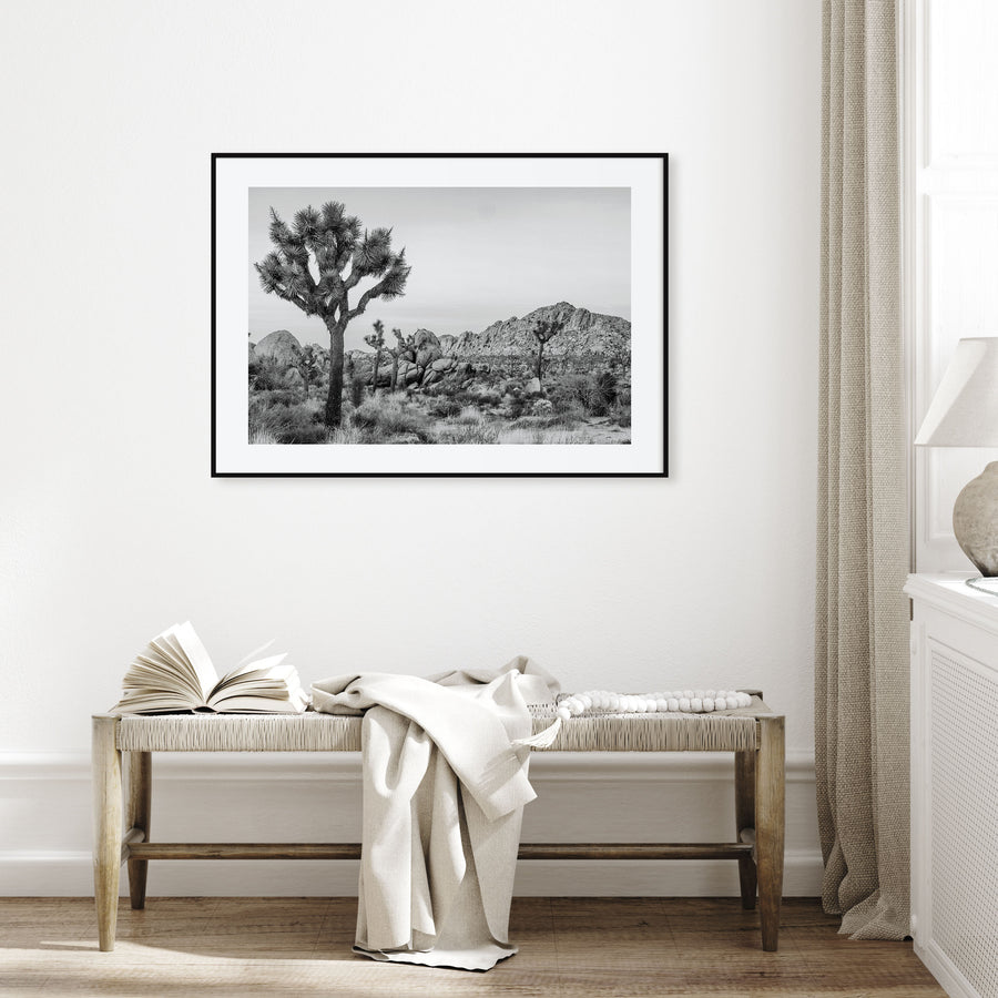 Joshua Tree National Park Landscape B&W No 2 Poster