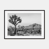 Joshua Tree National Park Landscape B&W No 2 Poster