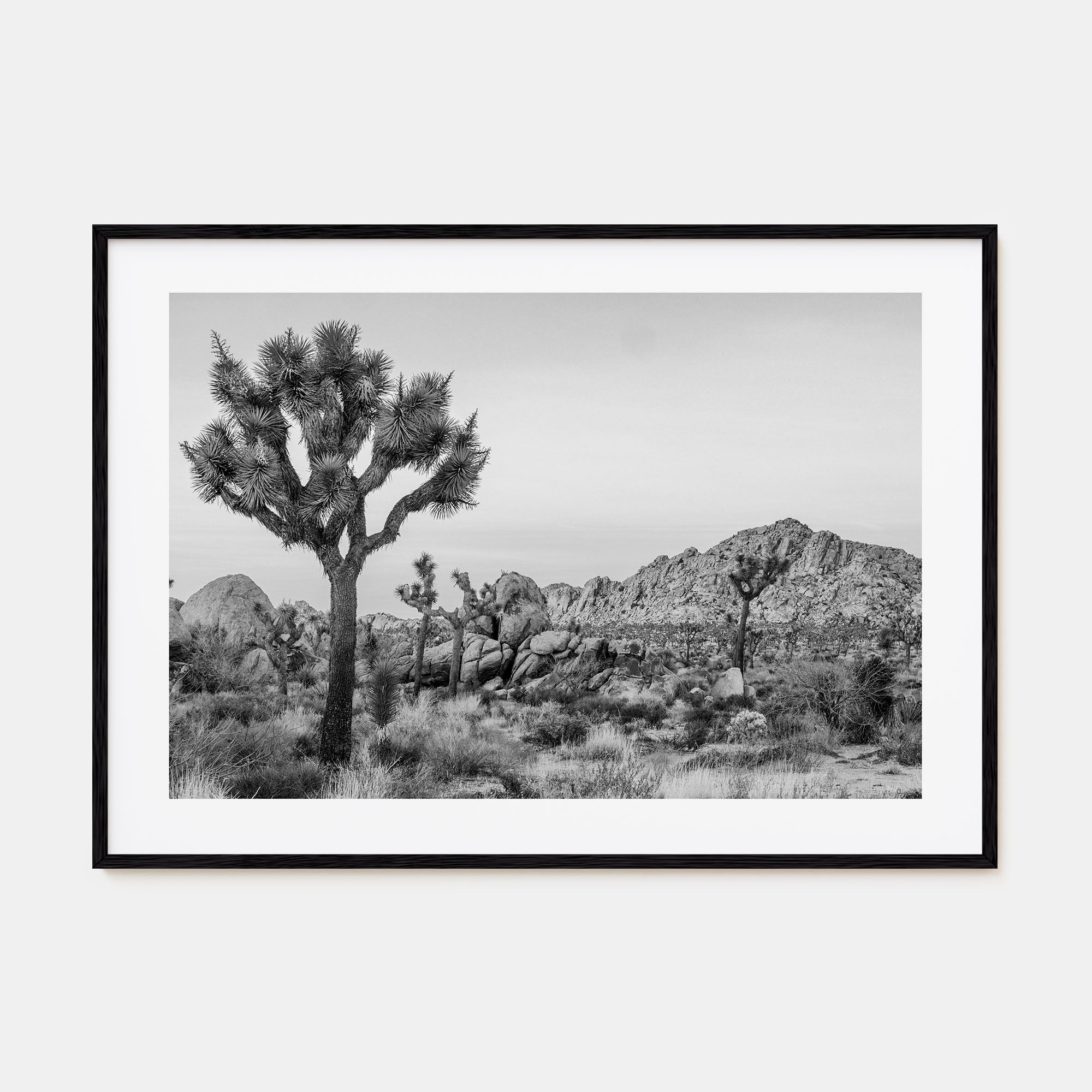 Joshua Tree National Park Landscape B&W No 2 Poster