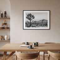 Joshua Tree National Park Landscape B&W No 2 Poster