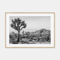 Joshua Tree National Park Landscape B&W No 2 Poster