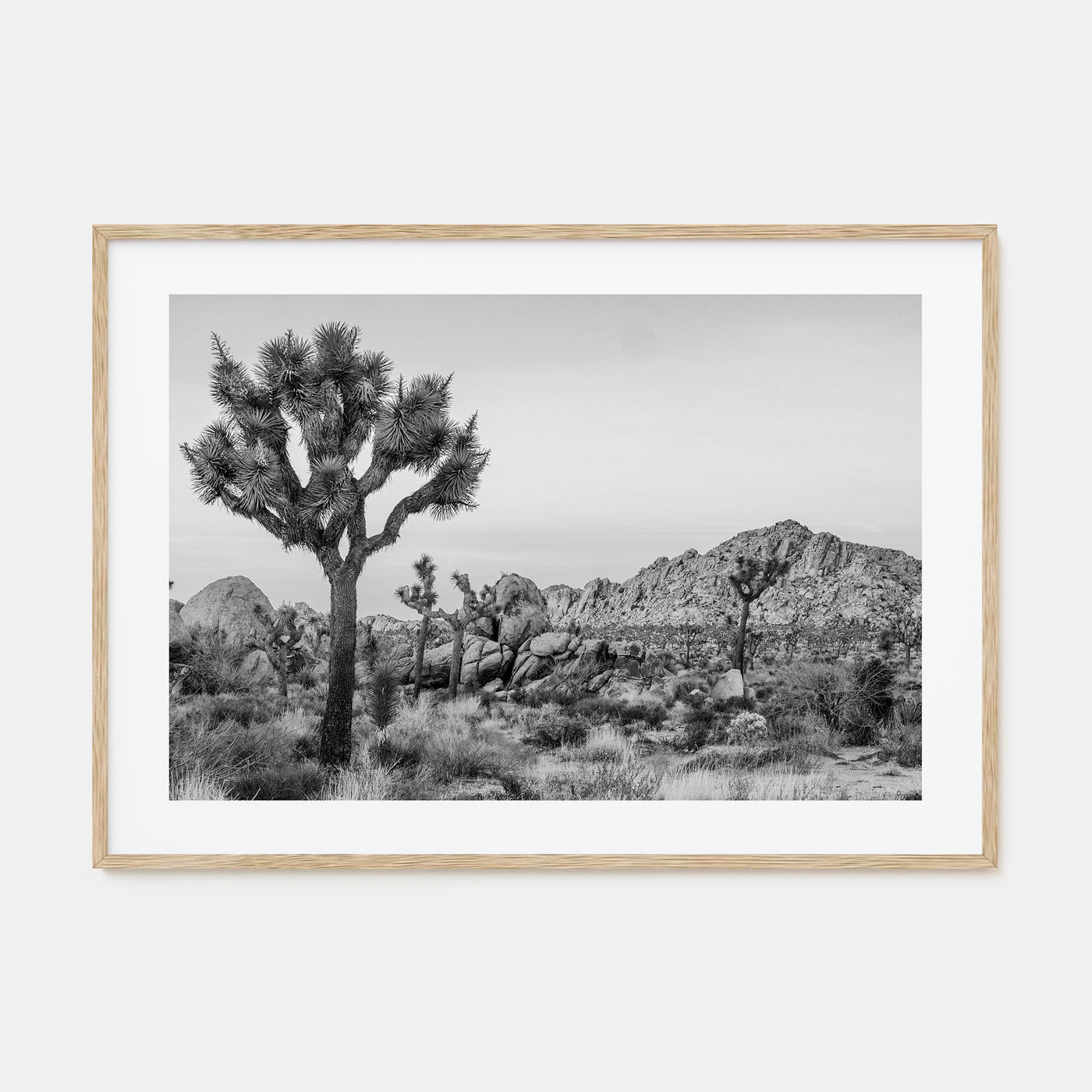 Joshua Tree National Park Landscape B&W No 2 Poster