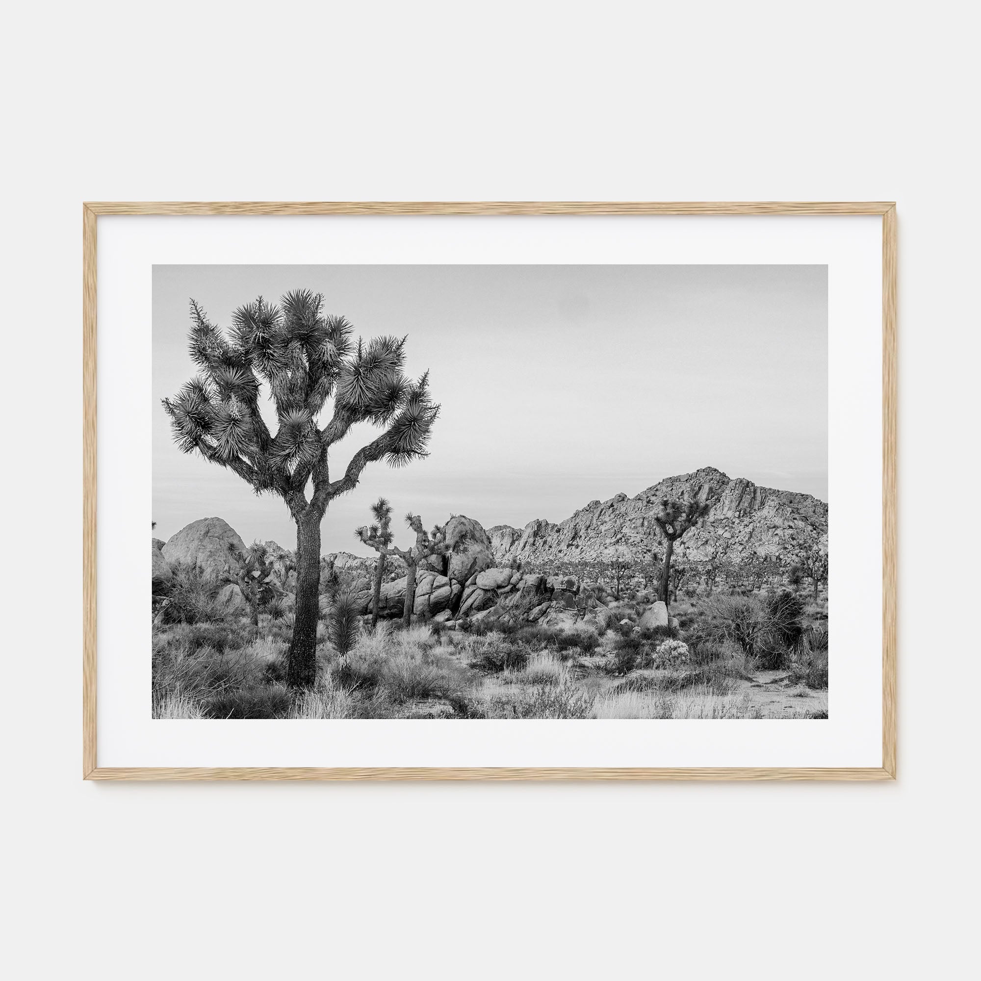Joshua Tree National Park Landscape B&W No 2 Poster