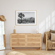 Joshua Tree National Park Landscape B&W No 2 Poster