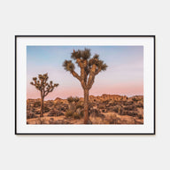 Joshua Tree National Park Landscape Color No 1 Poster