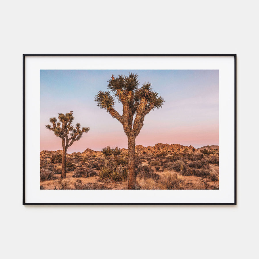 Joshua Tree National Park Landscape Color No 1 Poster