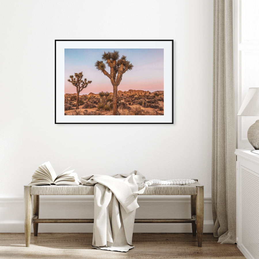 Joshua Tree National Park Landscape Color No 1 Poster
