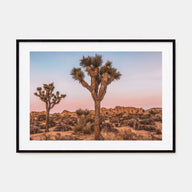Joshua Tree National Park Landscape Color No 1 Poster