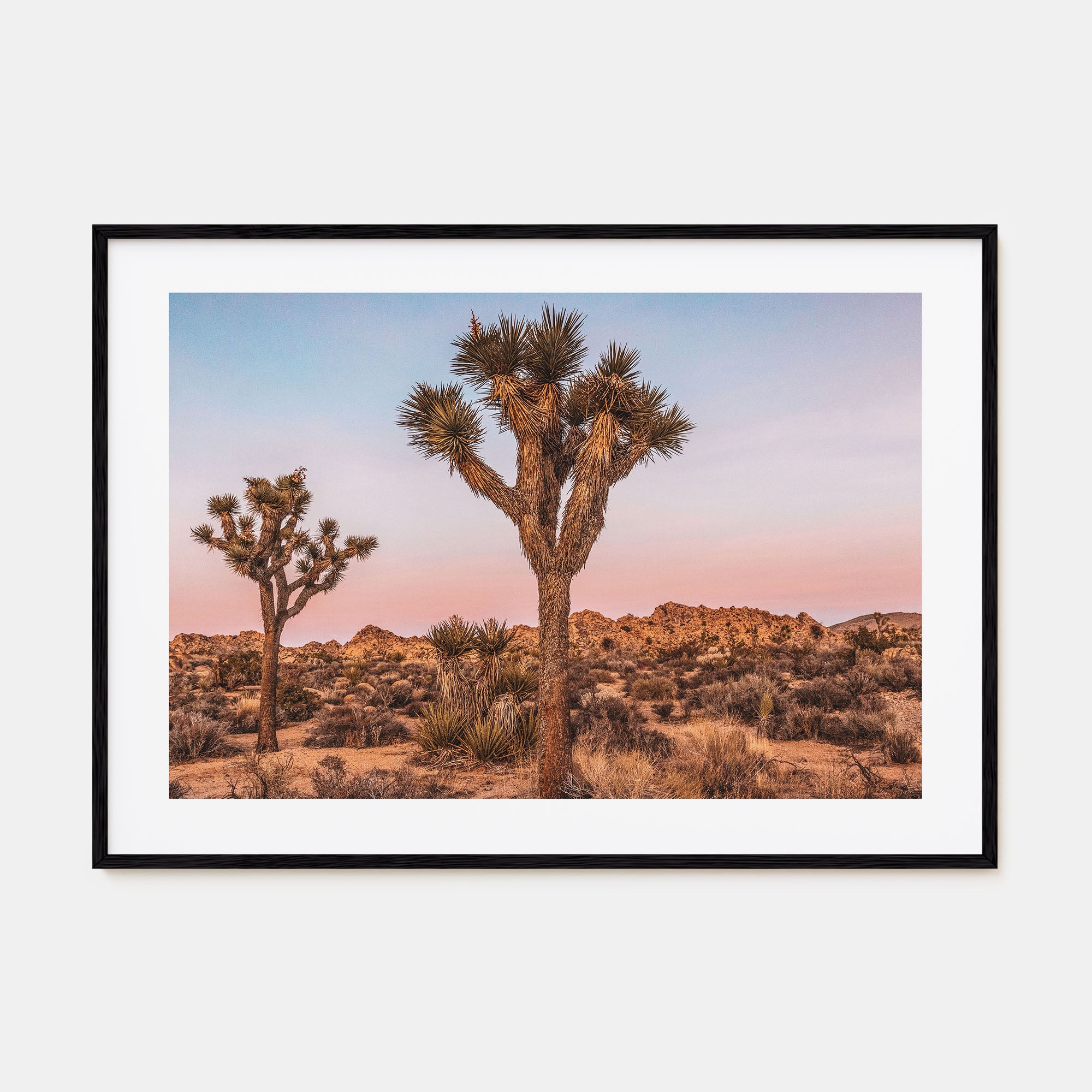 Joshua Tree National Park Landscape Color No 1 Poster