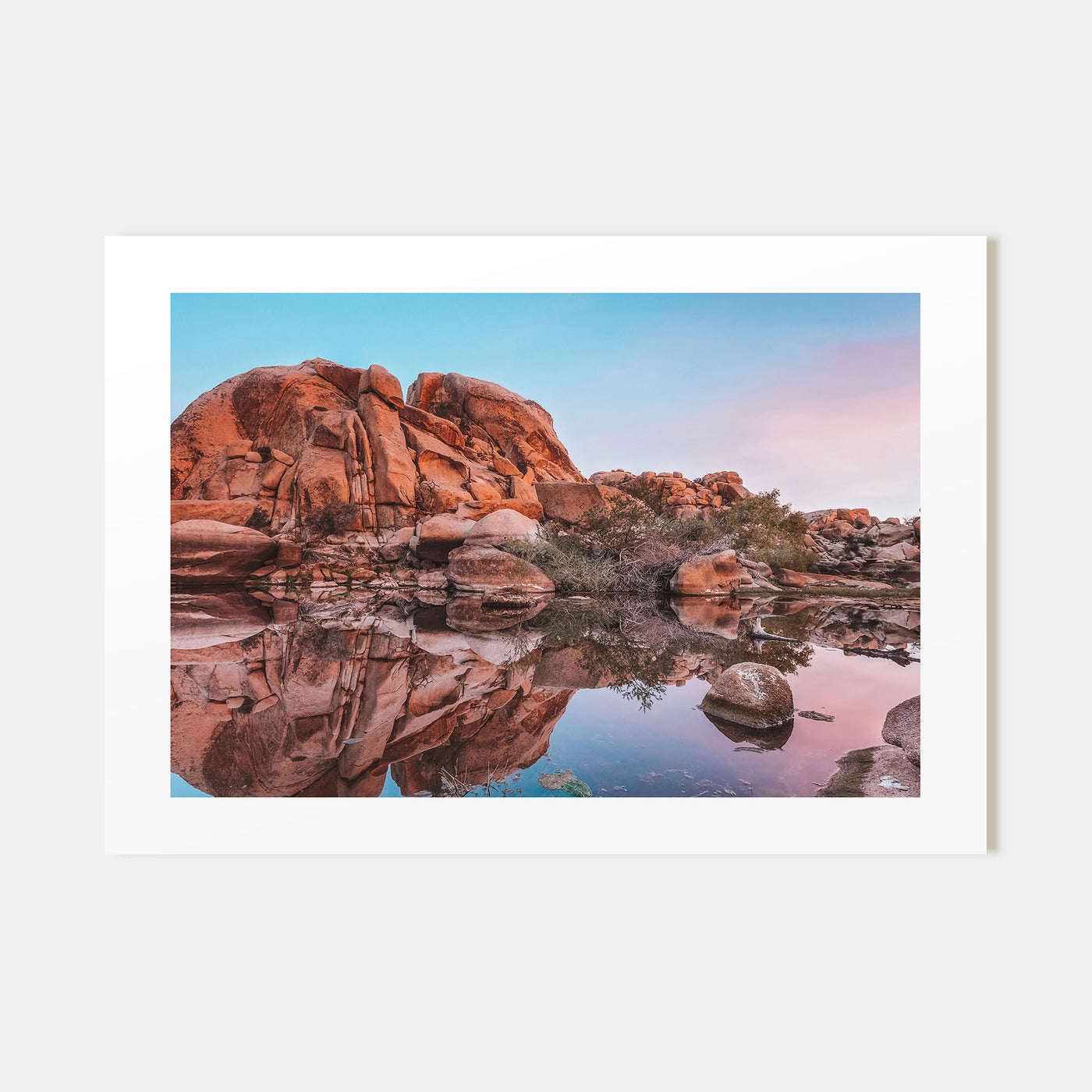 Joshua Tree National Park Landscape Color No 2 Poster