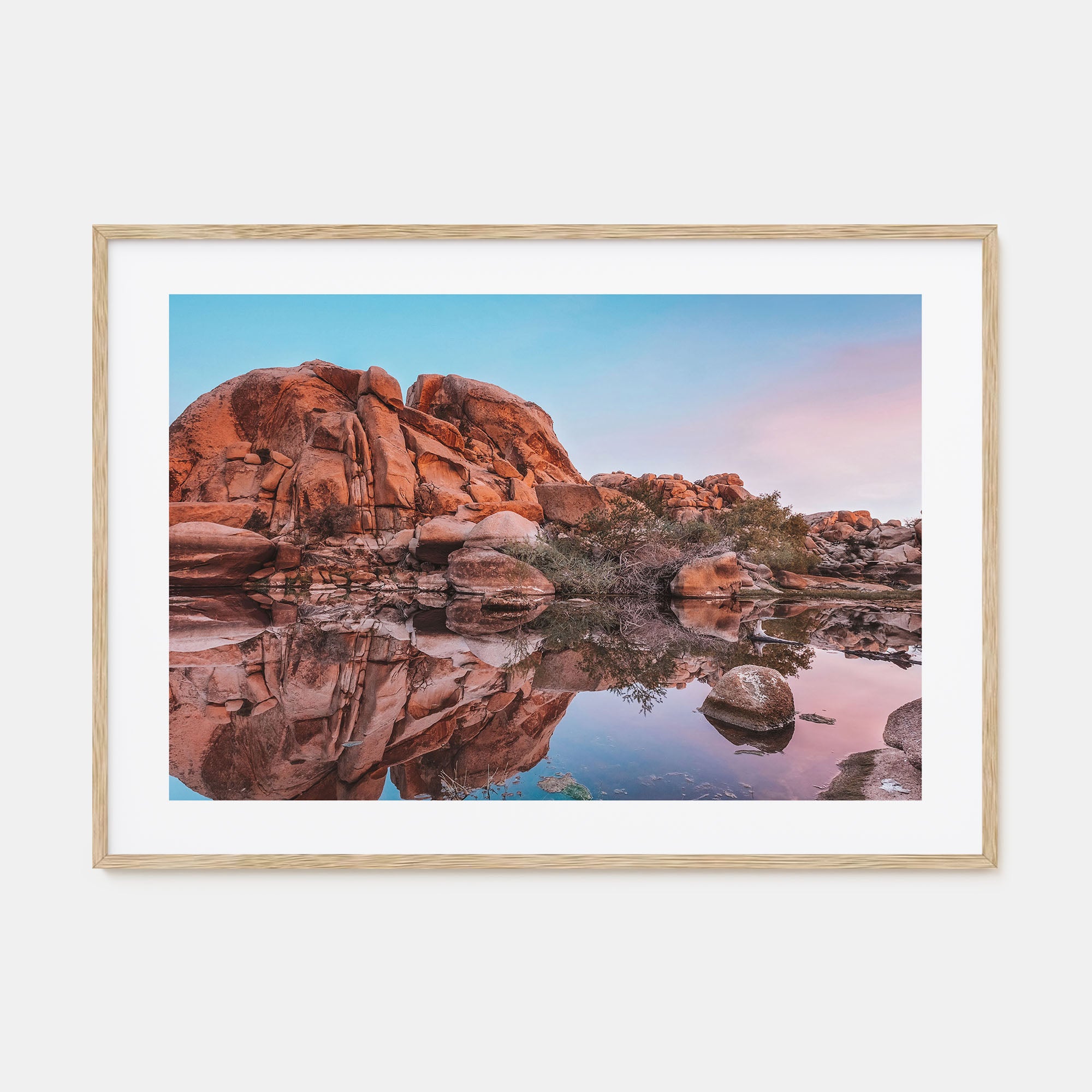 Joshua Tree National Park Landscape Color No 2 Poster