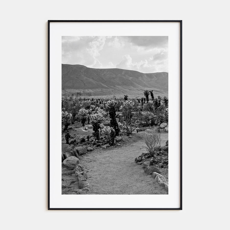 Joshua Tree National Park Photo B&W No 1 Poster