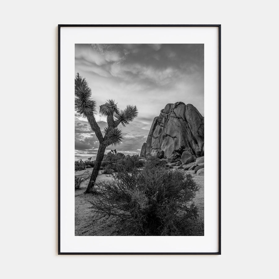 Joshua Tree National Park Photo B&W No 2 Poster