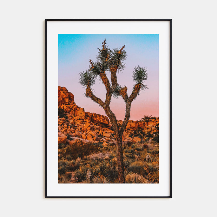 Joshua Tree National Park Photo Color No 1 Poster