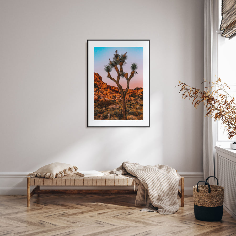 Joshua Tree National Park Photo Color No 1 Poster