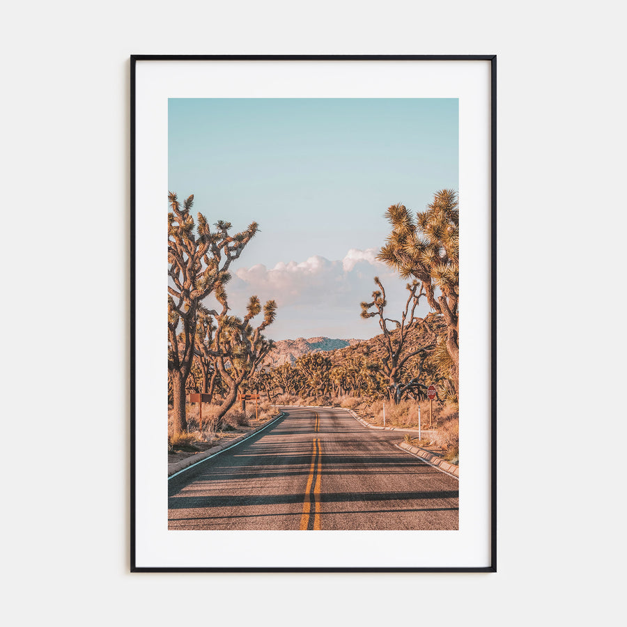 Joshua Tree National Park Photo Color No 2 Poster