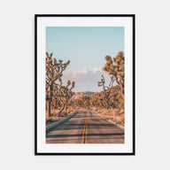Joshua Tree National Park Photo Color No 2 Poster