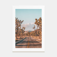 Joshua Tree National Park Photo Color No 2 Poster